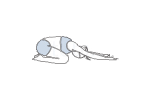 childs-pose-balasana-300x200